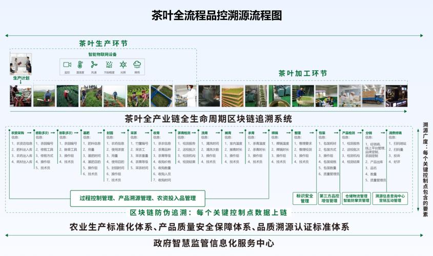 产品全生命周期数字化追溯 茶产业的变革与突破与数字内容制作服务